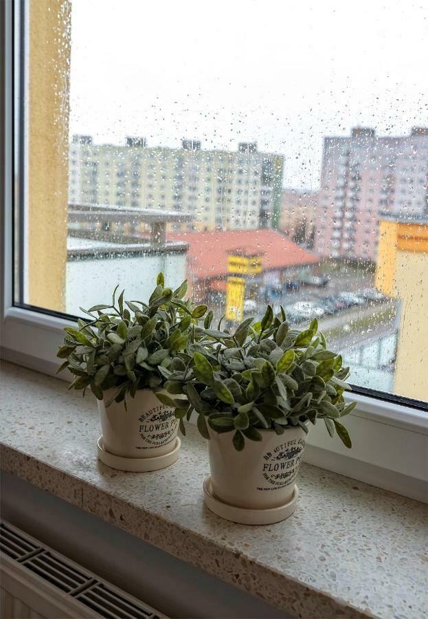 Top Floor Apartment Gorzow Wielkopolski Ngoại thất bức ảnh
